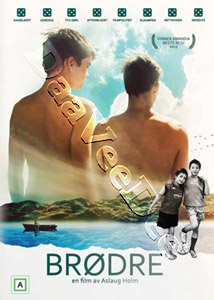 Brothers (2015) (DVD)